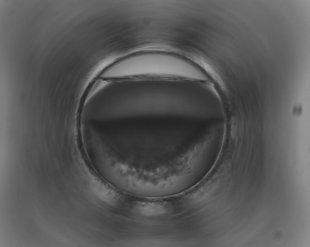 X0000092251229200709281137