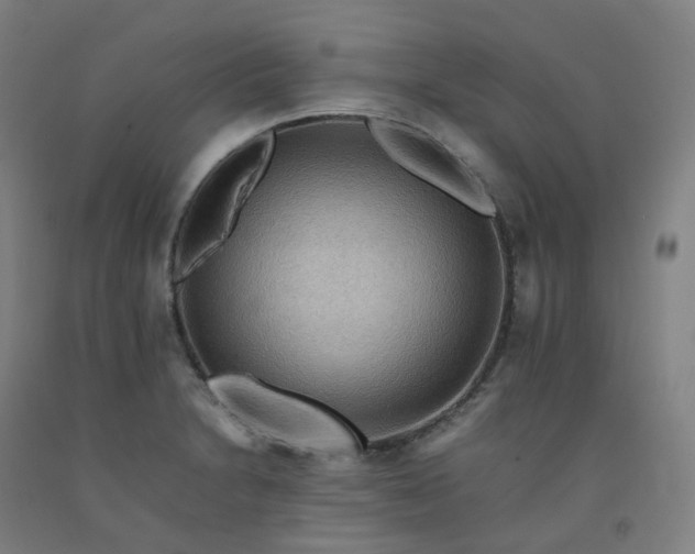 X0000092251230200709281137