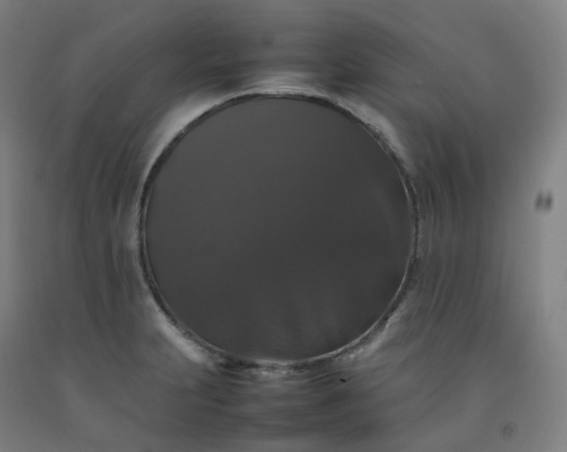 X0000092251231200709281137