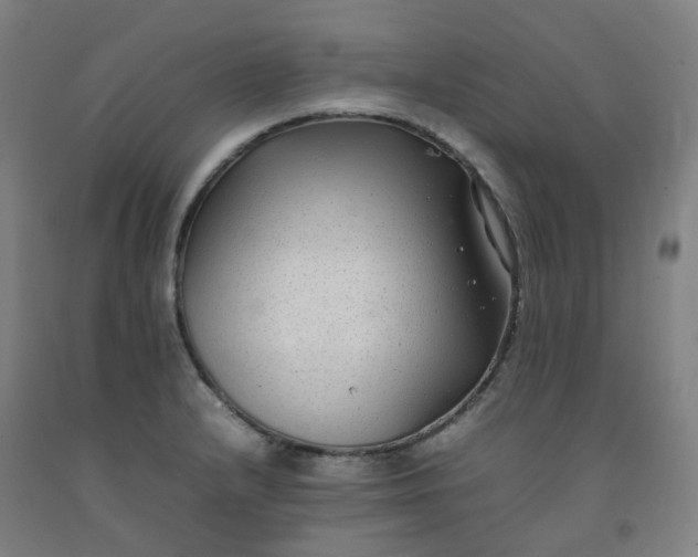 X0000092251232200709281137