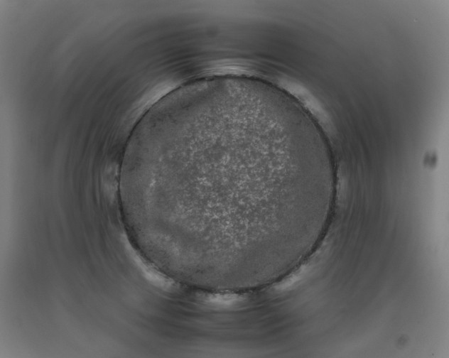 X0000092251233200709281137