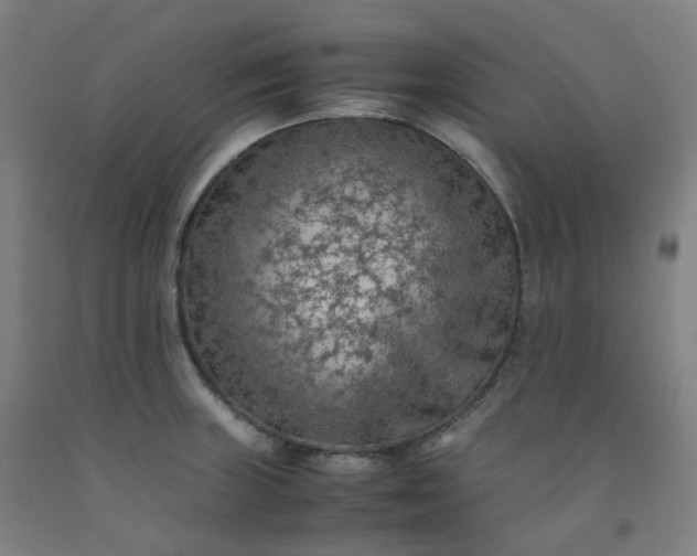 X0000092251235200709281137