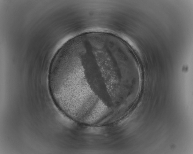 X0000092251237200709281137