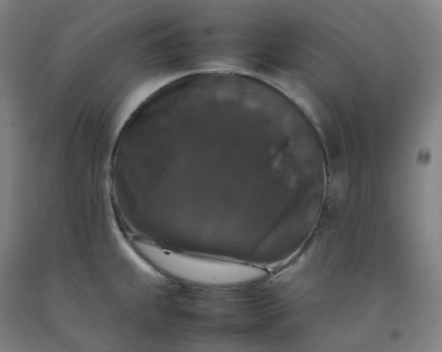 X0000092251239200709281137