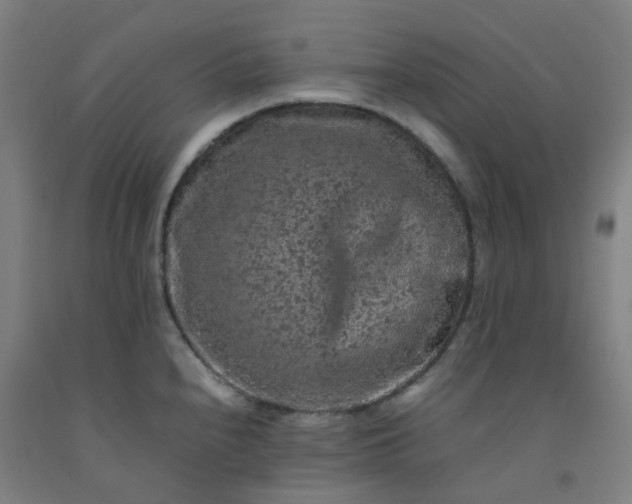 X0000092251240200709281137