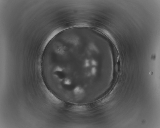 X0000092251243200709281137