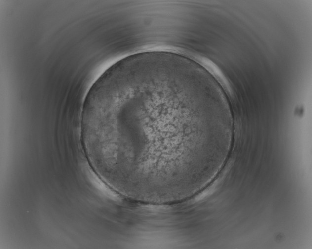 X0000092251244200709281137