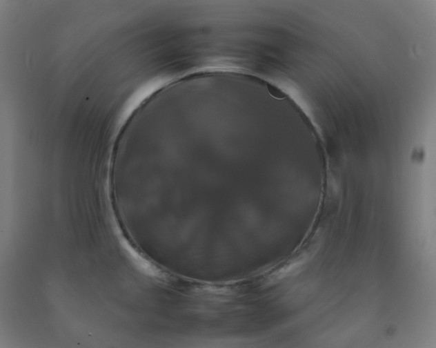 X0000092251245200709281137