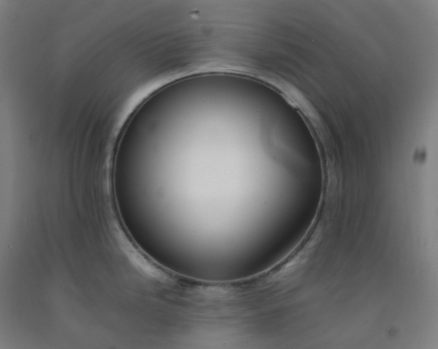 X0000092251246200709281137