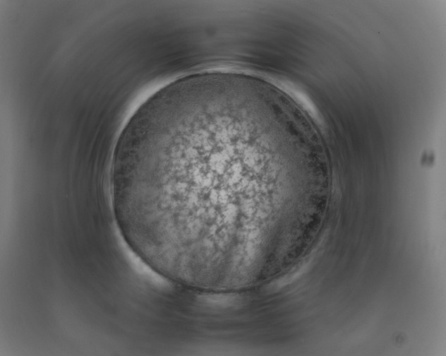 X0000092251247200709281137