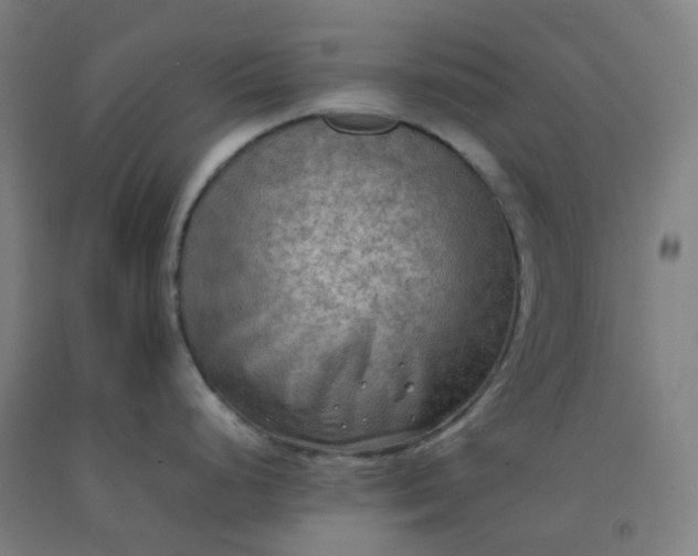 X0000092251248200709281137