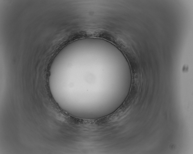 X0000092251249200709281137