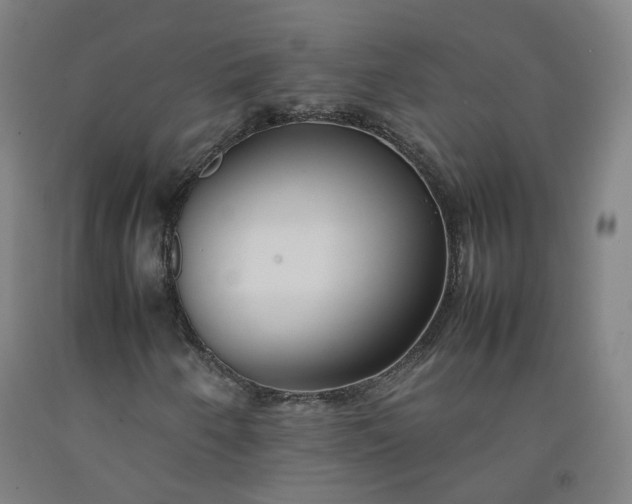 X0000092251250200709281137