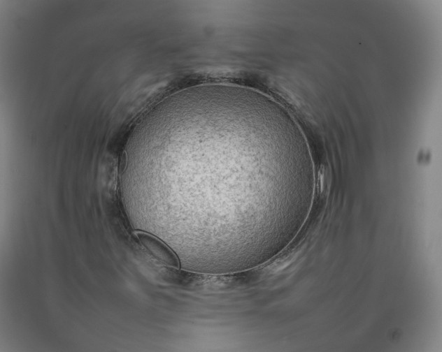 X0000092251251200709281137