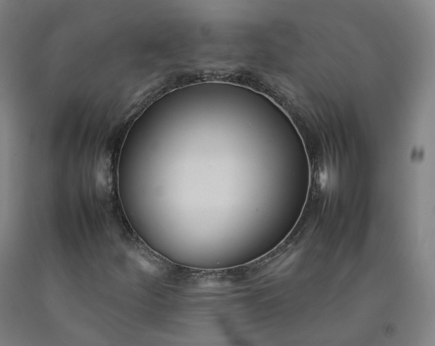 X0000092251252200709281137