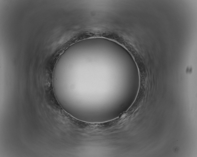 X0000092251253200709281137