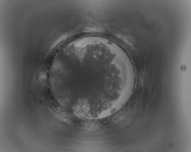 X0000092251254200709281137