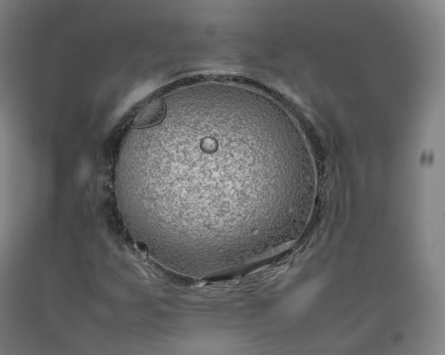 X0000092251255200709281137