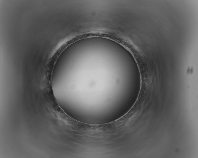 X0000092251256200709281137