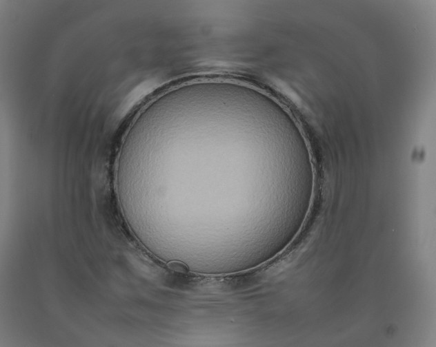 X0000092251259200709281137