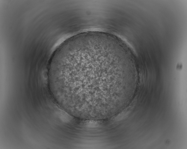 X0000092251266200709281137