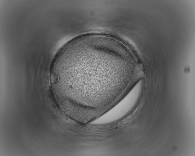 X0000092251267200709281137