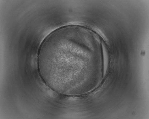 X0000092251268200709281137