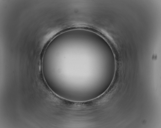 X0000092251269200709281137