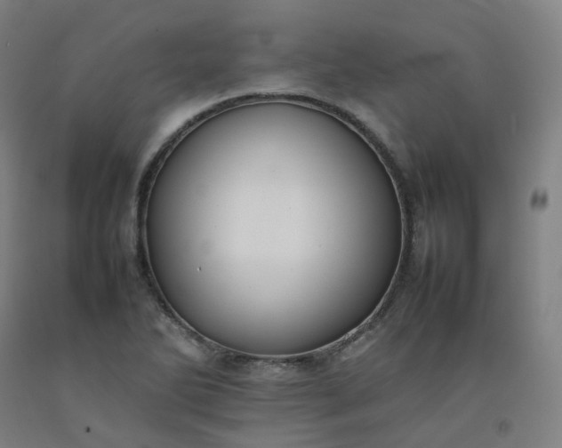 X0000092251270200709281137