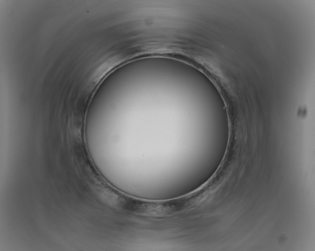 X0000092251273200709281137