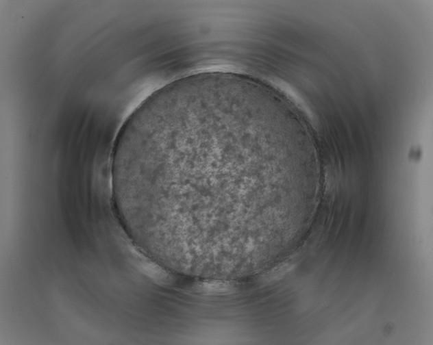 X0000092251274200709281137