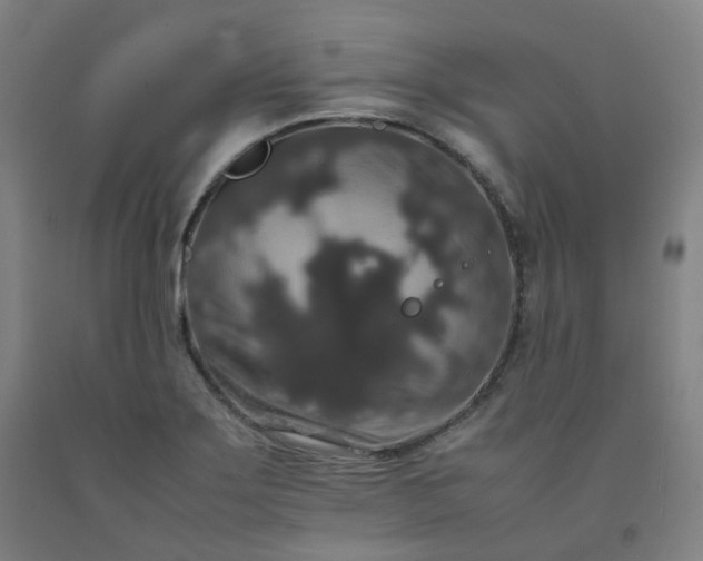 X0000092251275200709281137