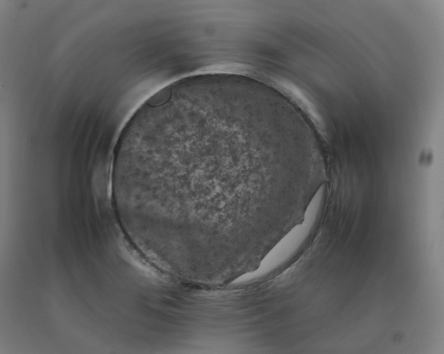 X0000092251276200709281137