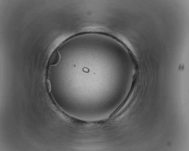 X0000092251277200709281137