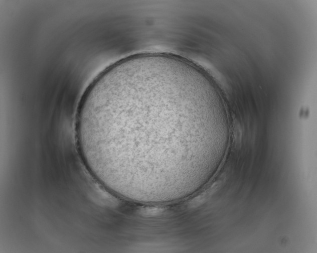 X0000092251278200709281137