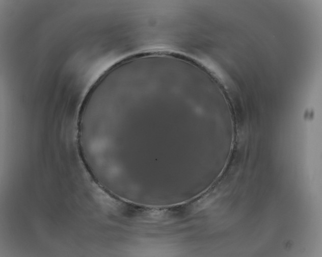 X0000092251279200709281137