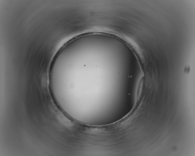 X0000092251280200709281137