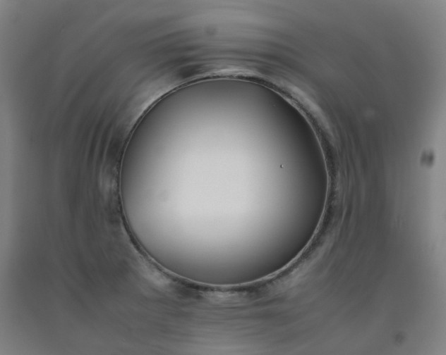 X0000092251281200709281137