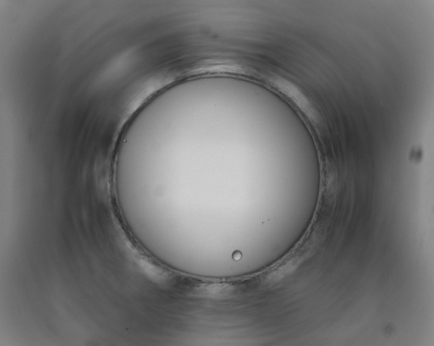 X0000092251282200709281136