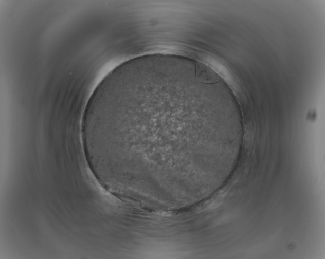 X0000092251283200709281136