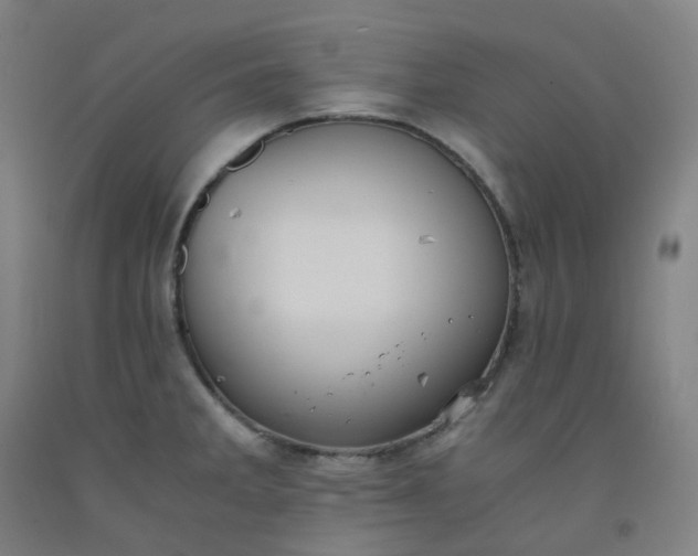 X0000092251285200709281136