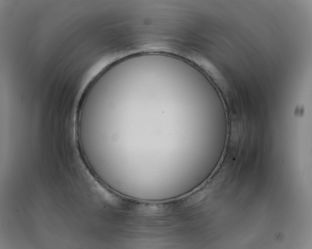 X0000092251286200709281136