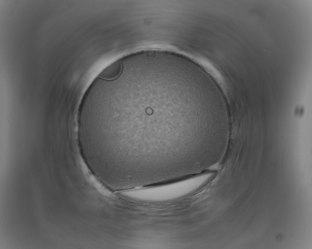 X0000092251287200709281136