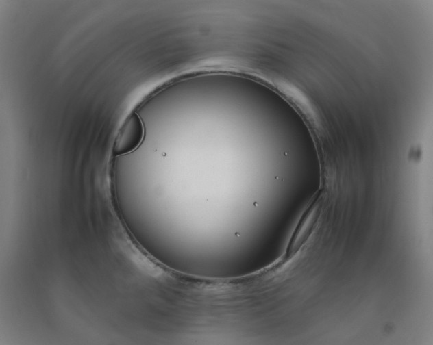 X0000092251288200709281136