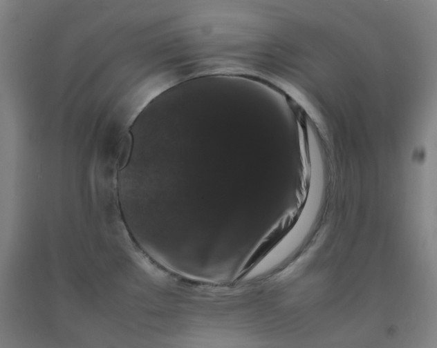 X0000092251289200709281136