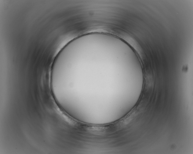 X0000092251290200709281136