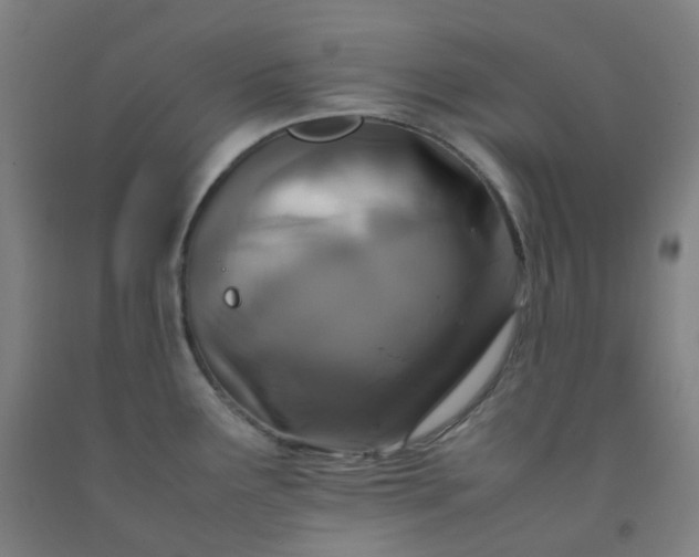 X0000092251291200709281136