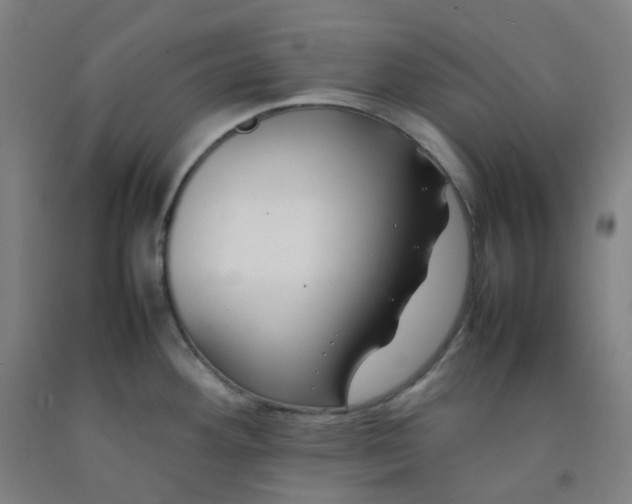 X0000092251292200709281136