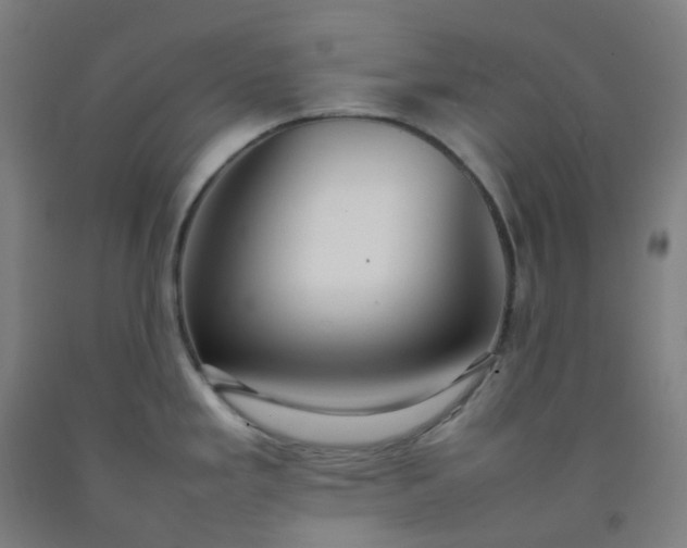 X0000092251293200709281136