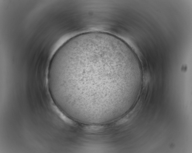 X0000092251294200709281136